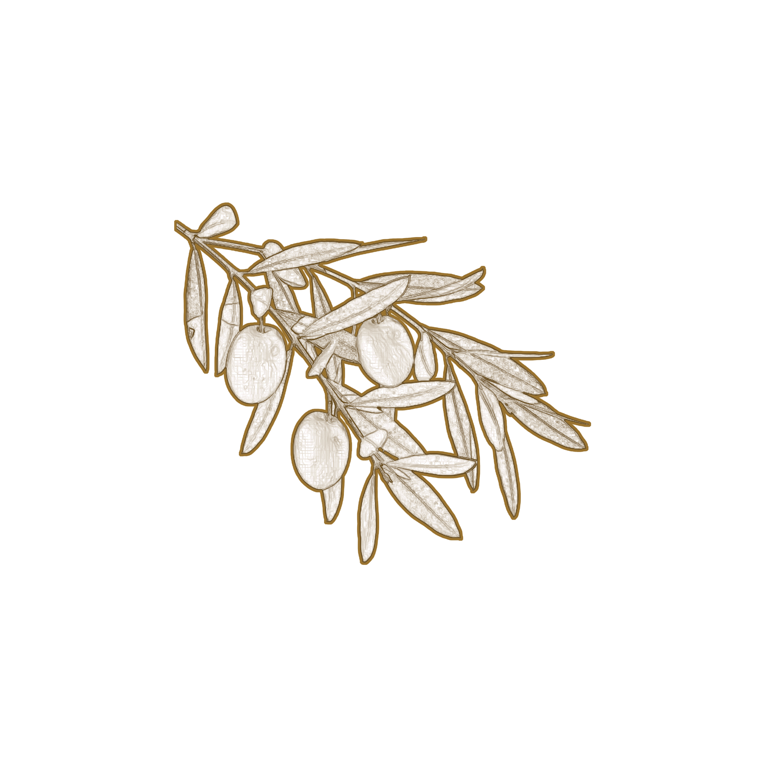 Olio