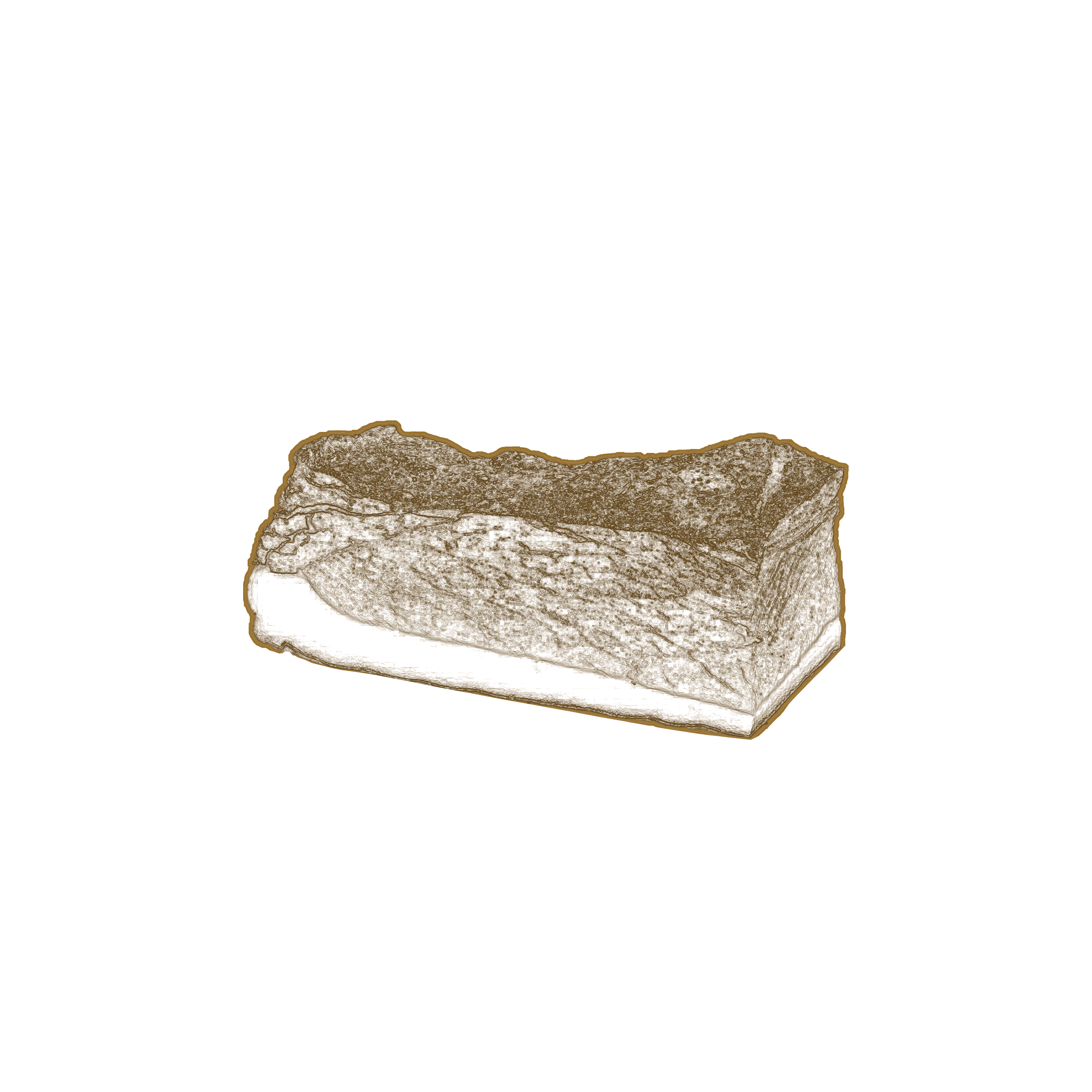 Salumi
